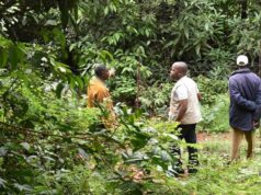 ENVIRONNEMENT: mission conjointe à Dalaba,Labé et Koundara