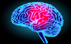SCIENCE : du plaisir à l'addiction, que se passe-t-il dans notre cerveau ? | Justin Morel Junior